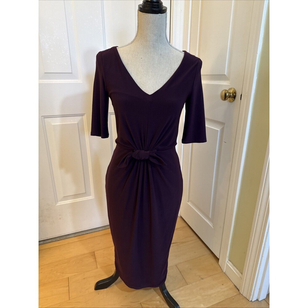 EGGPLANT PURPLE Ralph Lauren short sleeved knee length spandex Dress Size 4